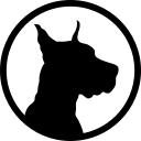 the_dog.png
